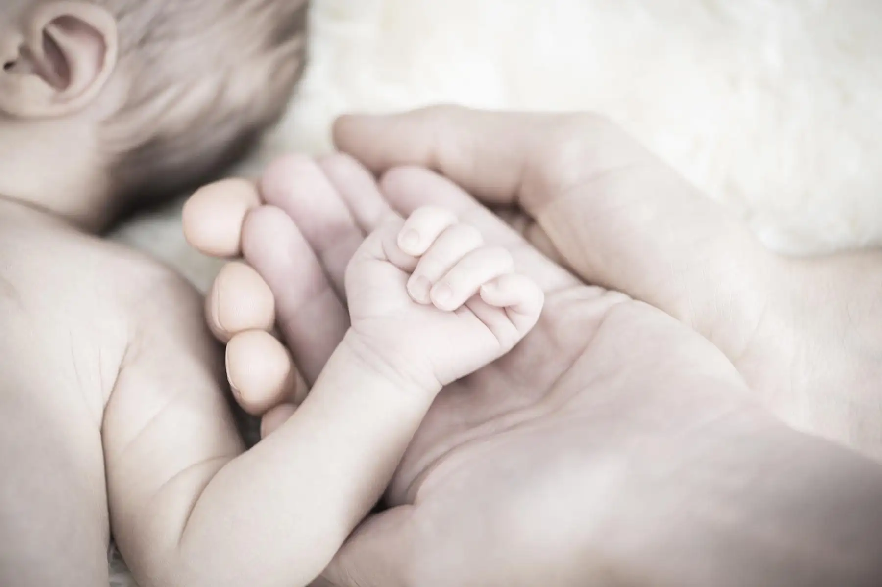 Baby Newborn Traunstein Babys Makro Hand in Hand