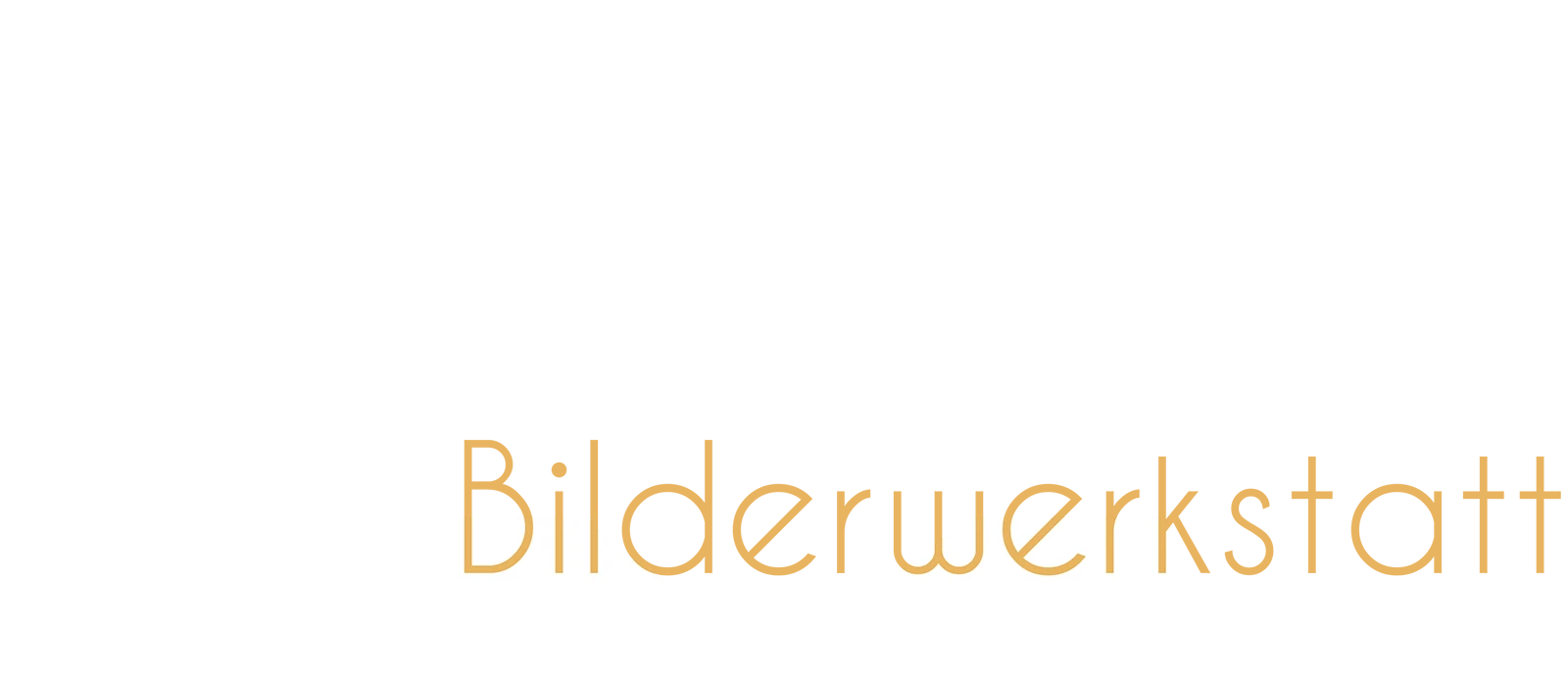 Logo Stadler Fotografie Traunsteiner Bilderwerkstatt